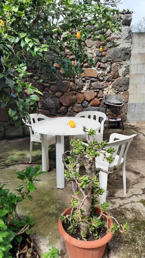 Apartmán Domuspes Sedilo Exteriér fotografie